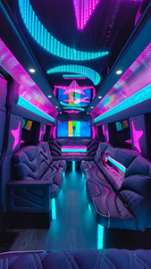Sprinter Interior Purple and Blue